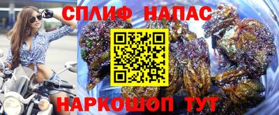 героин Кингисепп