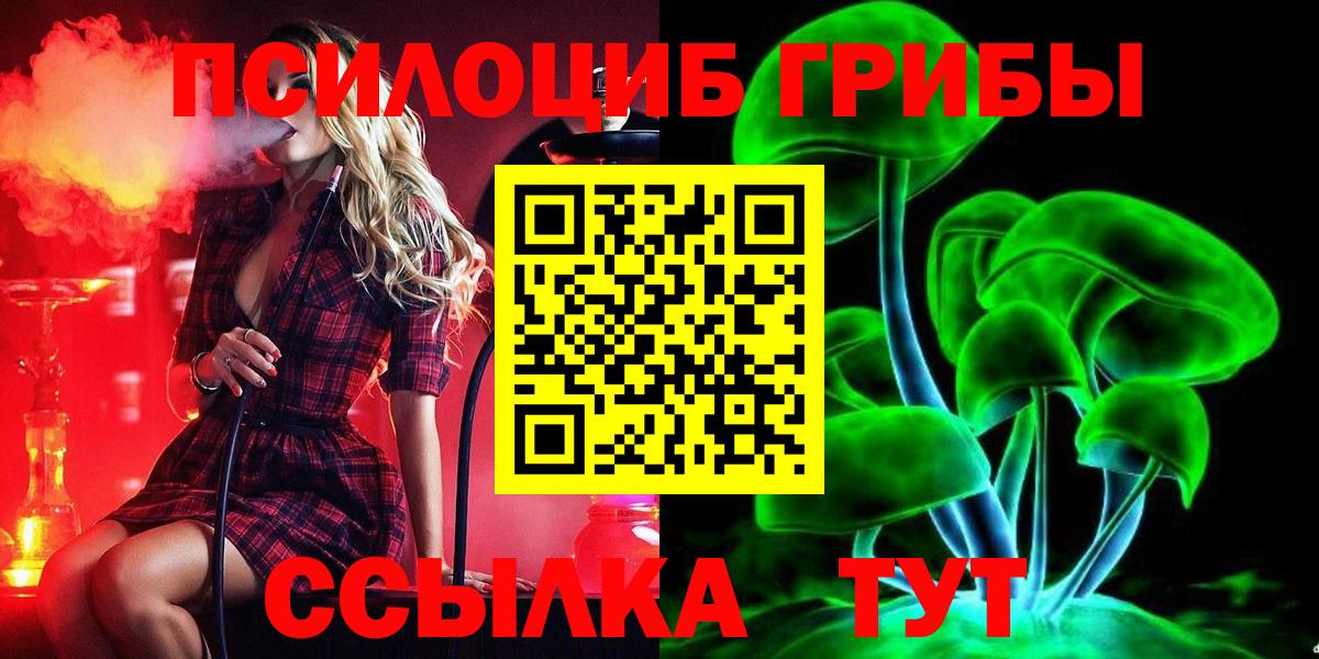 что такое   Вход с VPN  Магнитогорск  Псилоцибиновые грибы GOLDEN TEACHER  Псилоцибиновые грибы мухоморы 