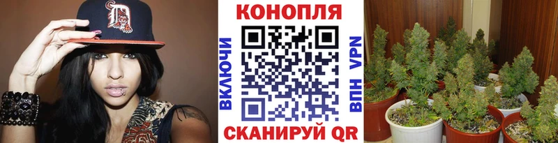 Купить где  Магнитогорск  Шишки марихуана VHQ 